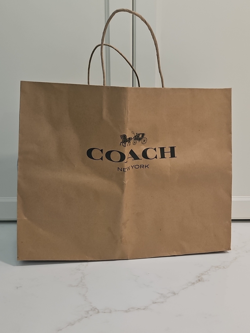 Coach Paper Bag Retail Gift Unisex